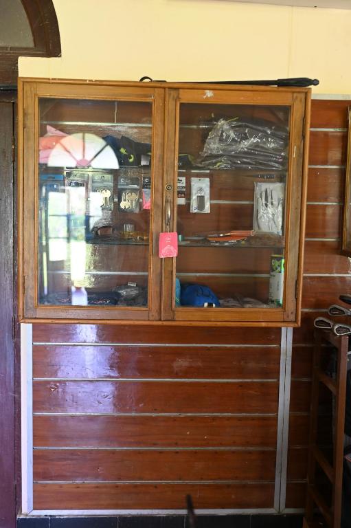 アクティビティ