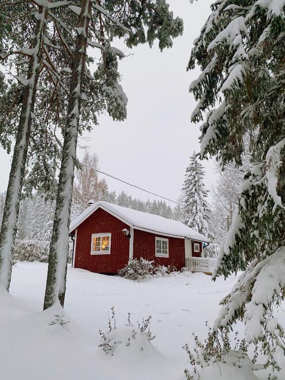 Sunshine Stuga Bergvik, Gällö