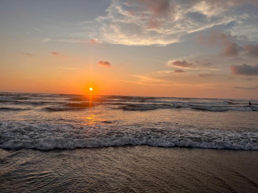 周辺観光スポット