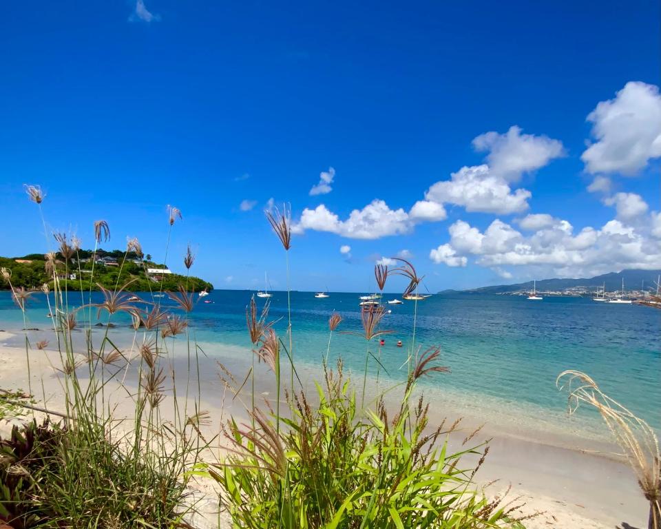 Tropicvirgin studio vue mer, 150m de la plage, Les Trois-Îlets