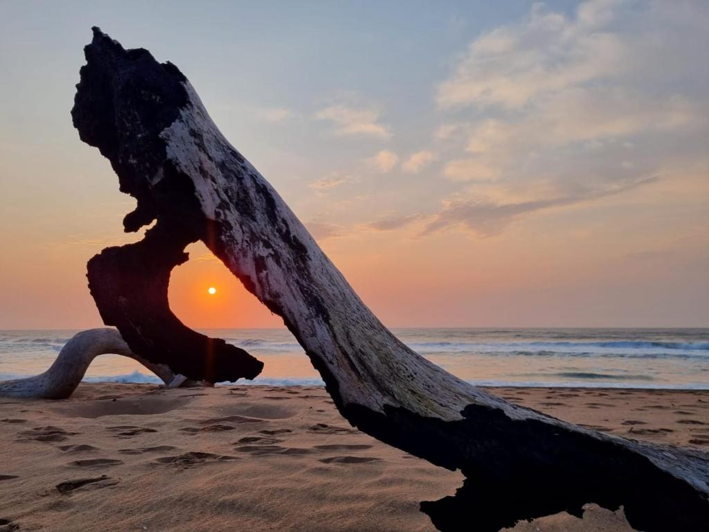 Unit 2 at Place of the Eagle, Zinkwazi Beach