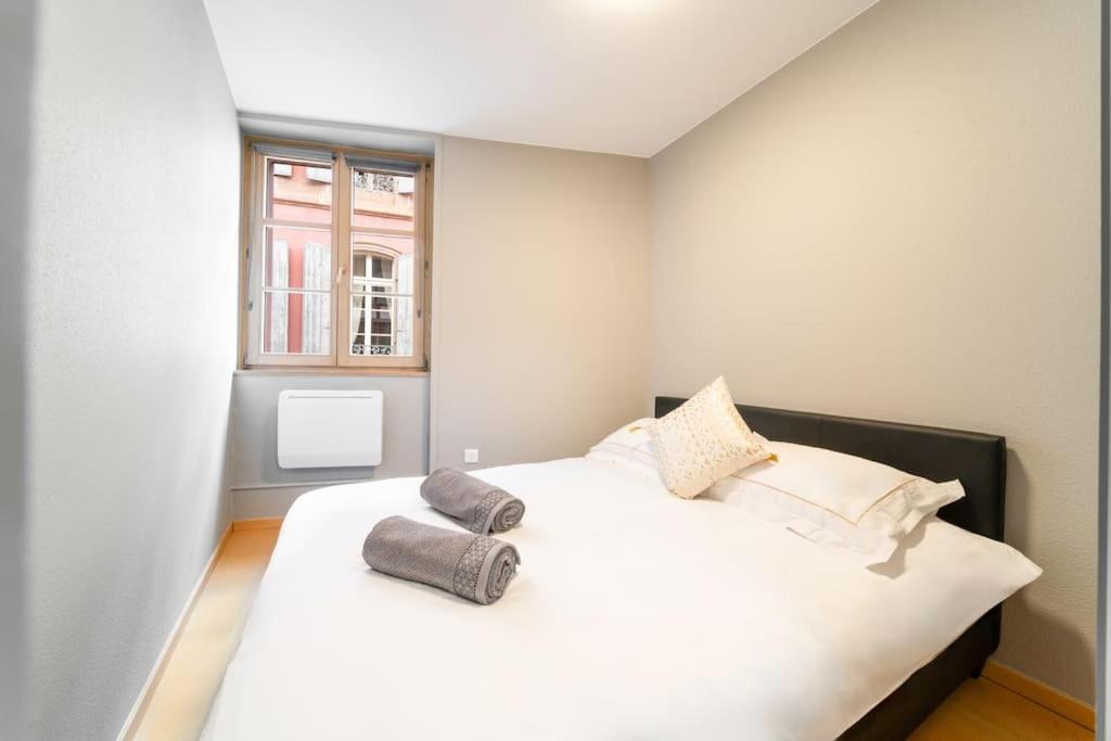 Le Roi Lion Colmar Centre parking gratuit - 2
