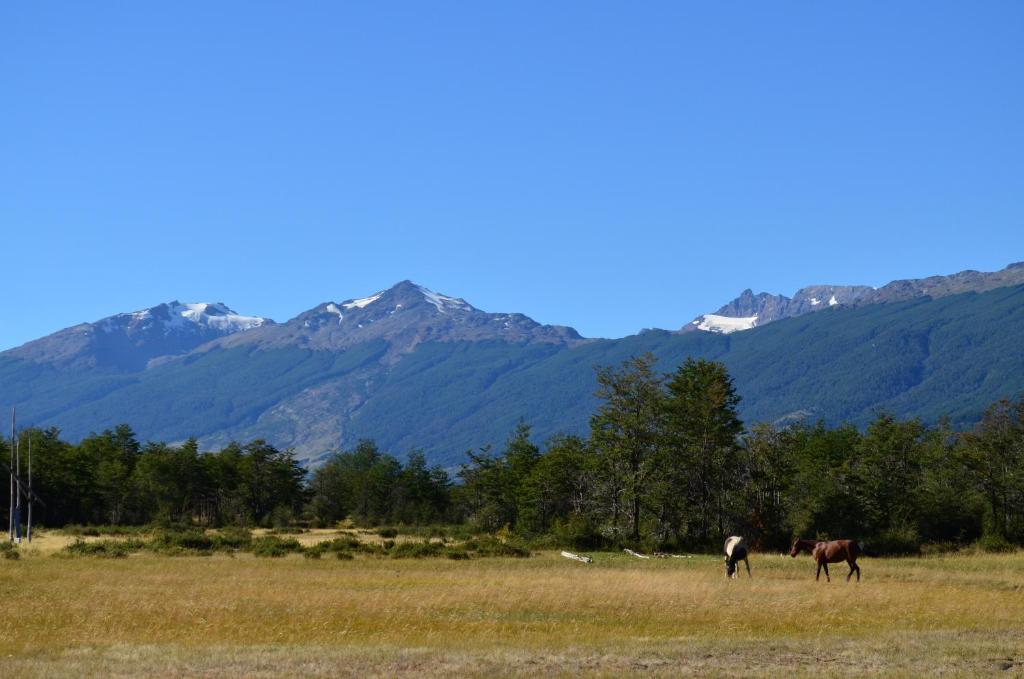 Casa Bahía Patagonia - 4