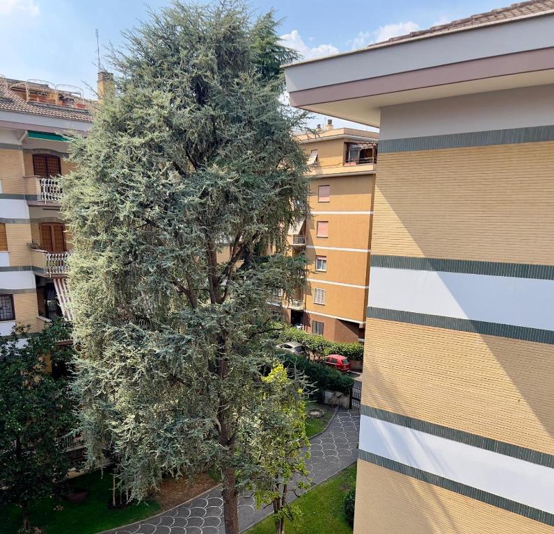 Vinc & Pina - Home - 2