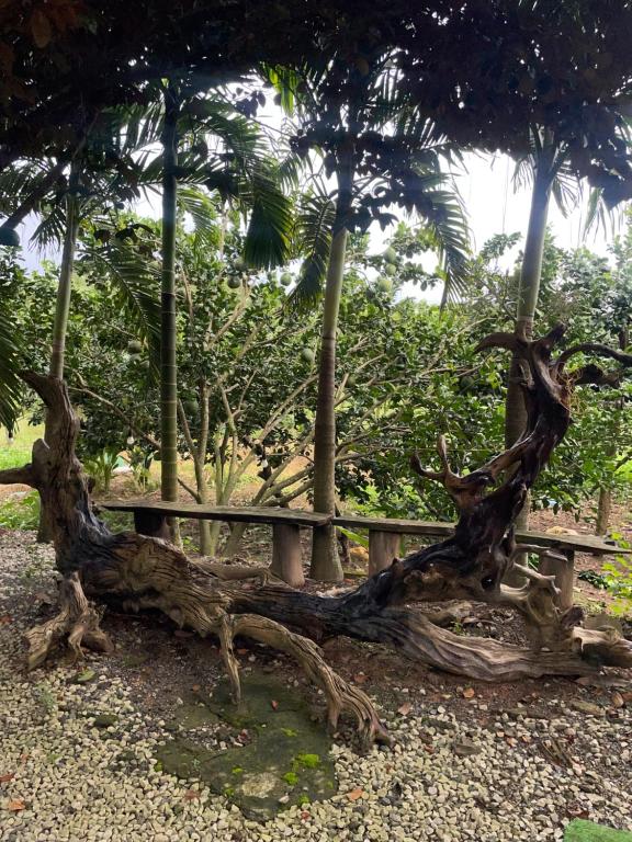 Surrounding environment