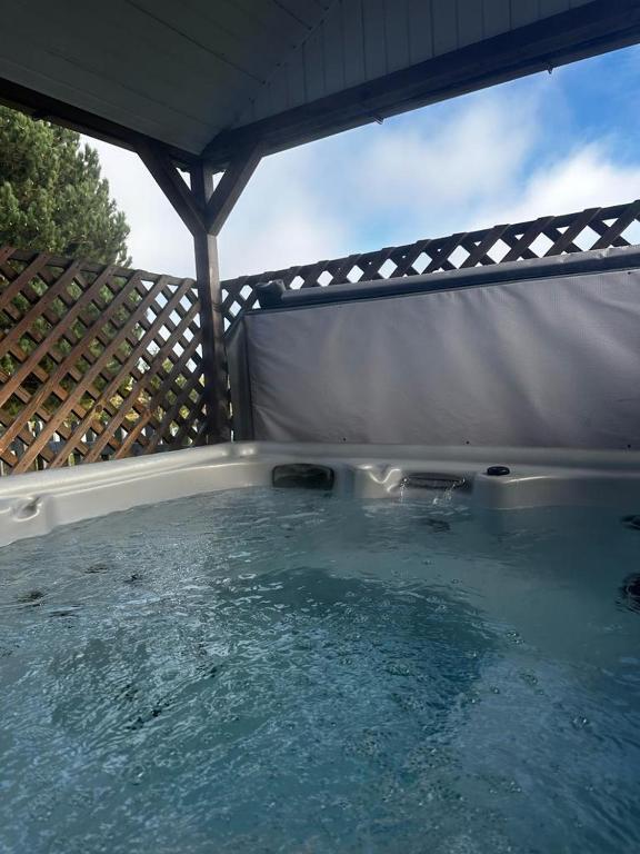 Lakeview Lodges at Makins Fishery, Bulkington - pet-friendly stay
