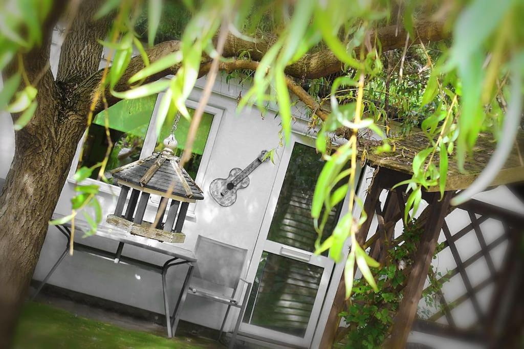 The Studio, Ascot photo 7
