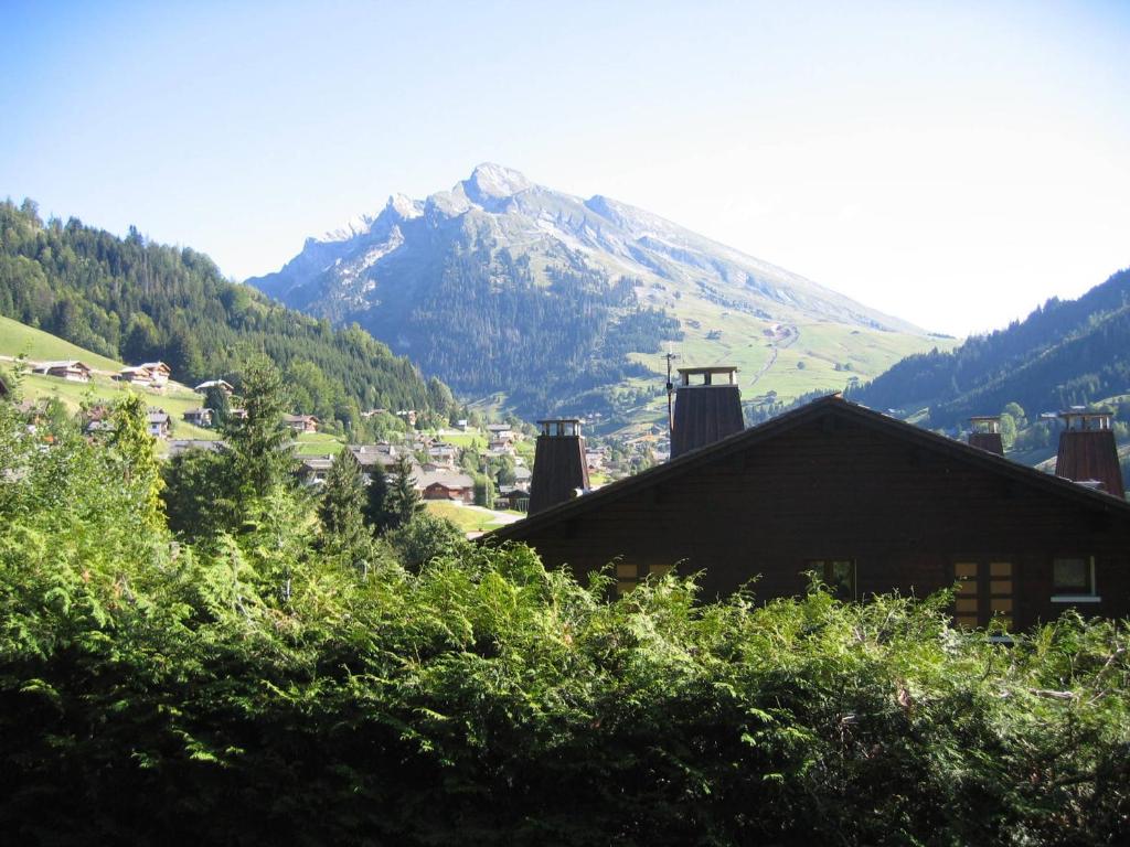 Duplex 2 chambres avec cheminée, garage et terrasse - La Clusaz, proche des pistes, WIFI inclus - FR-1-437-12 - 5
