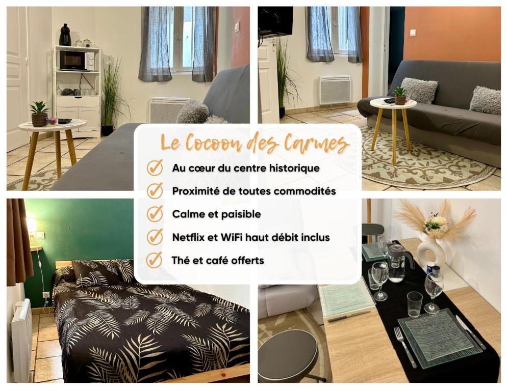 Le Cocon des Carmes - Hypercentre - 2