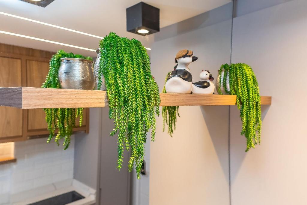 Studio Com Vaga no Centro - FAI1312, Curitiba