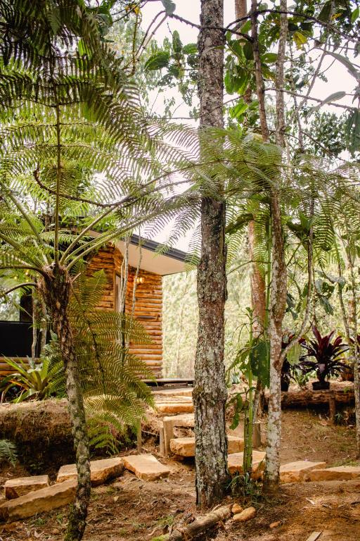 Cabaña Aventurina- La pascana Ecolodge Entorno natural excepcional, conexión con la naturaleza y avistamiento de aves, Ubicado a 3km del metrocable y Parque Arvi, Guarne - 4