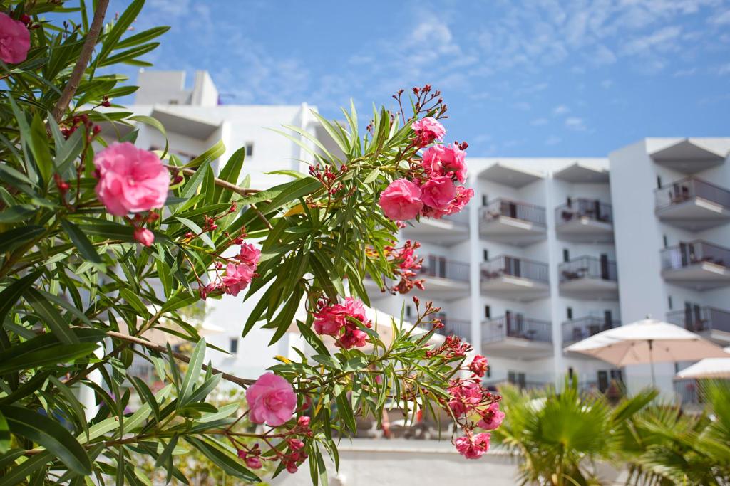 FERGUS Bermudas — Hotel building in Palma Nova, Balearic Islands