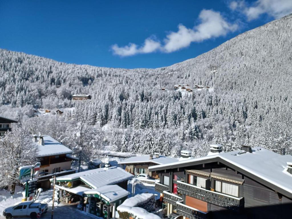 Refuge des Alpages - Duplex - Vue Aiguillette des Houches - 3