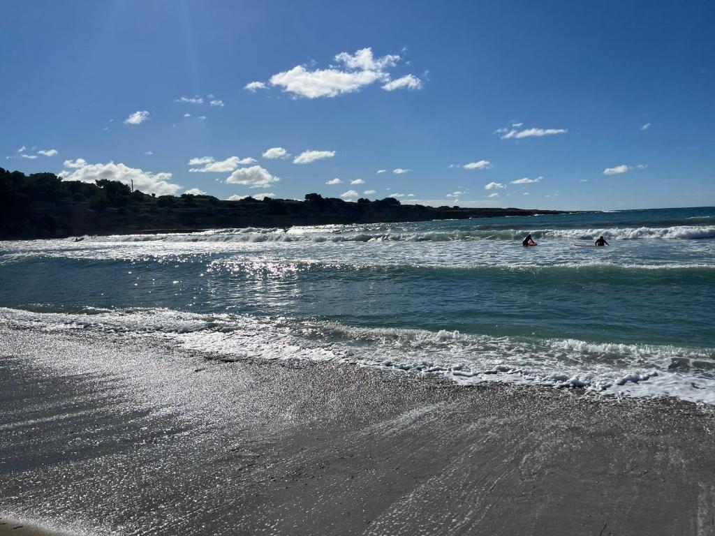 La campagne a la mer sur la cote bleue - 5