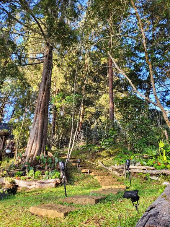 Cabaña Aventurina- La pascana Ecolodge Entorno natural excepcional, conexión con la naturaleza y avistamiento de aves, Ubicado a 3km del metrocable y Parque Arvi, Guarne - 2