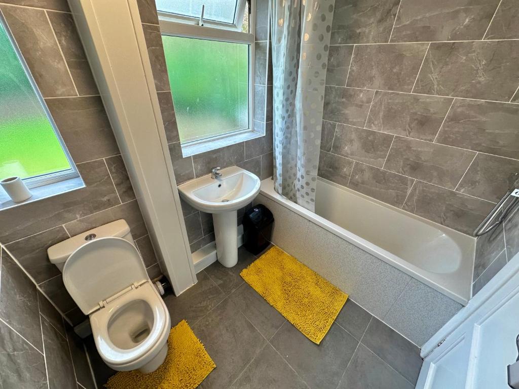 The oak tree wolves, Wolverhampton