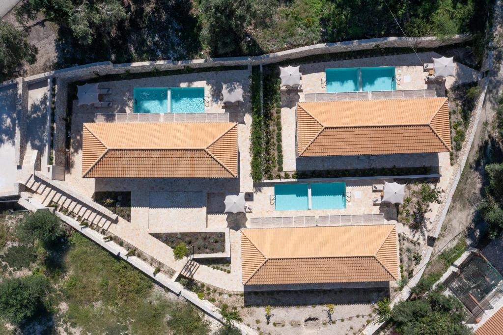 ULIVETO PAXOS, Velianitátika