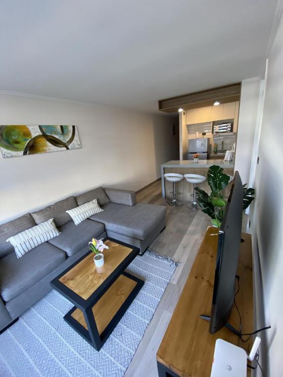Bonito departamento en el corazón de Concepción - 1