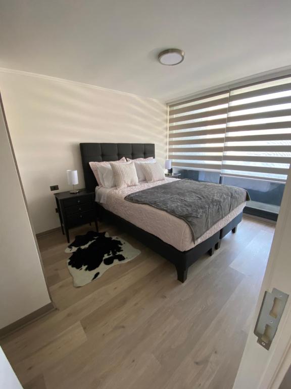 Bonito departamento en el corazón de Concepción - 4