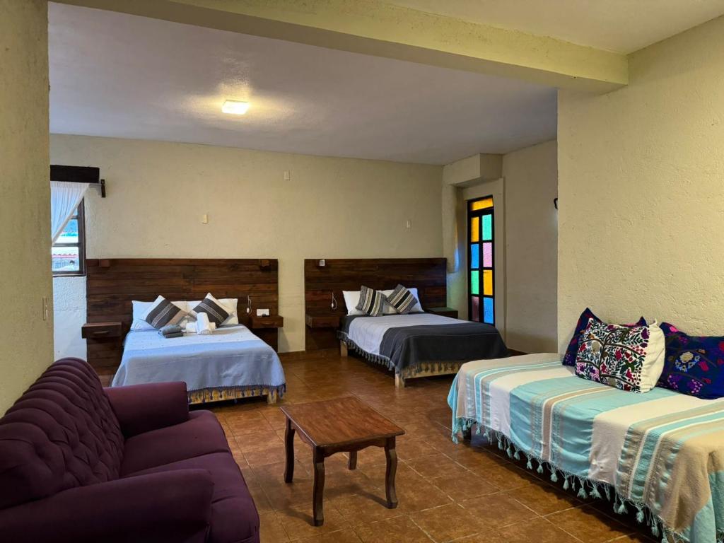 Arte Sano Hotel San Cristobal - 5
