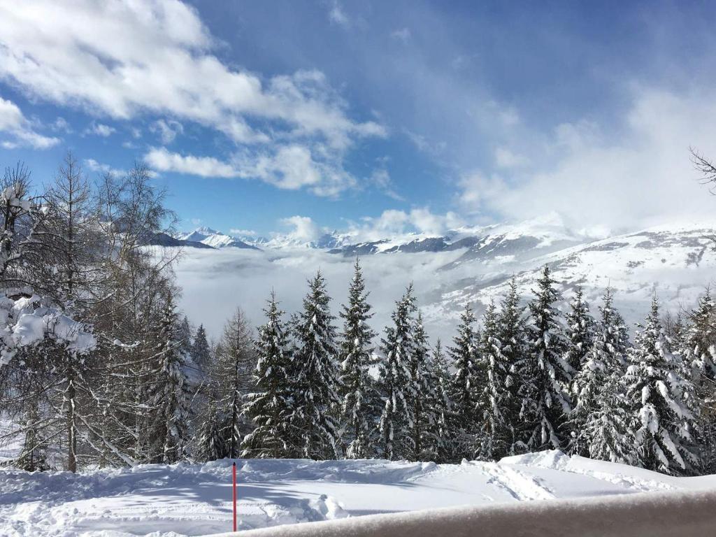 Chalet spacieux pour 14 avec sauna et cheminée aux Arcs 1600 - FR-1-411-959 - 3