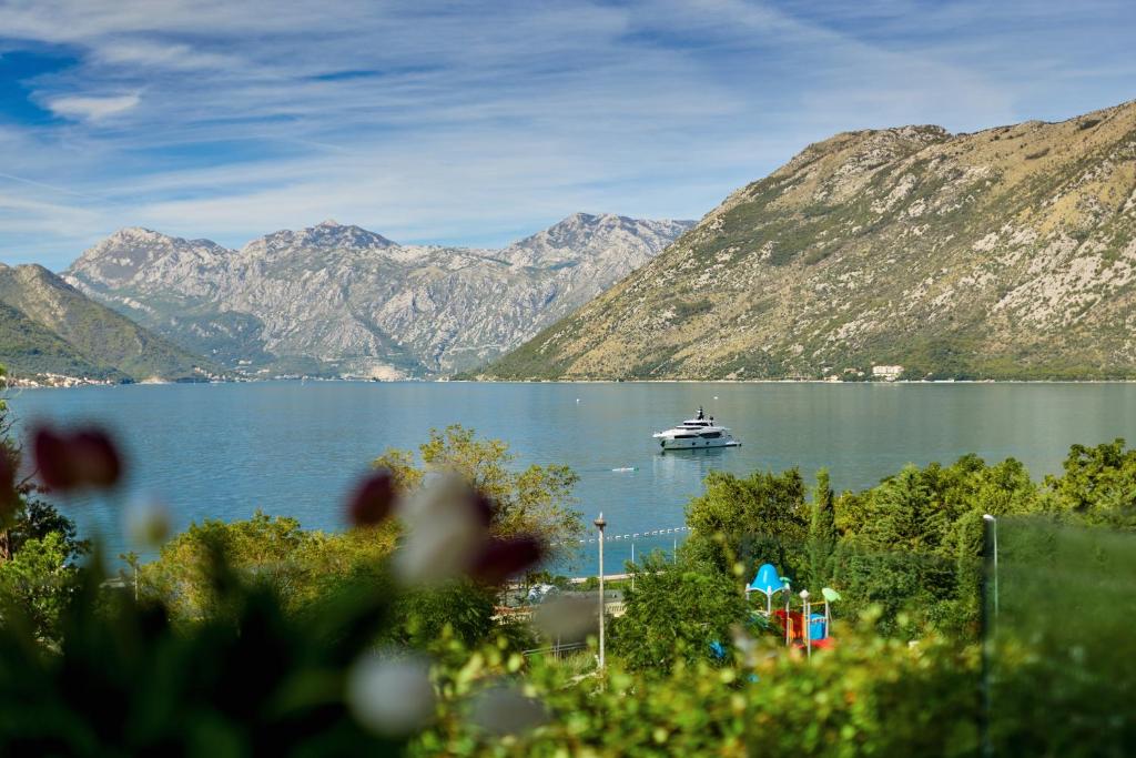 Alla Cartolina, Kotor