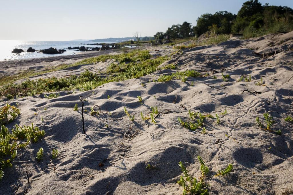 Surrounding environment