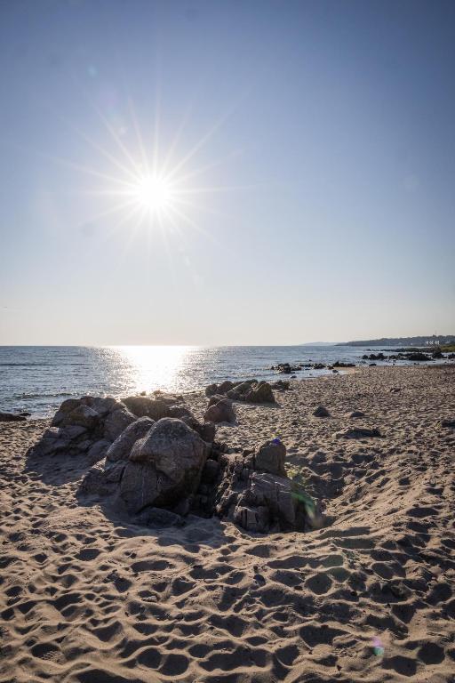 Surrounding environment