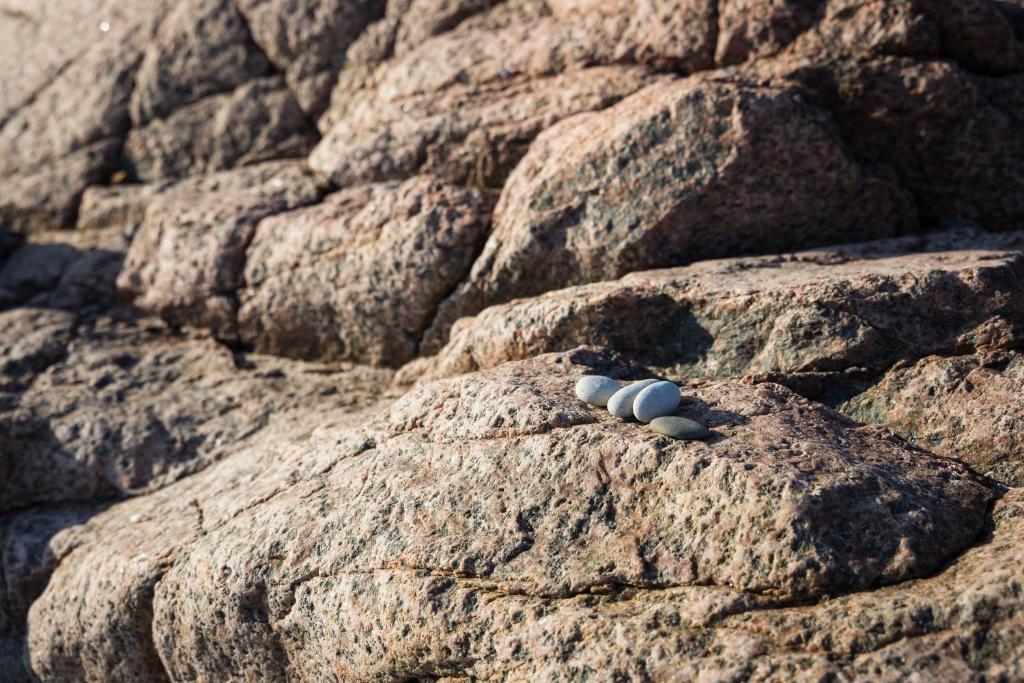 Surrounding environment