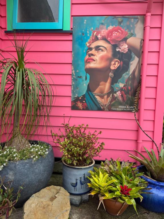 Fridas Accommodation, Raglan