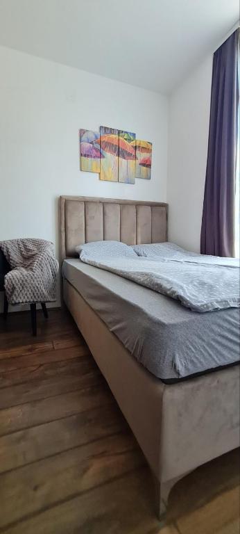 Apartman Djurdja - 3