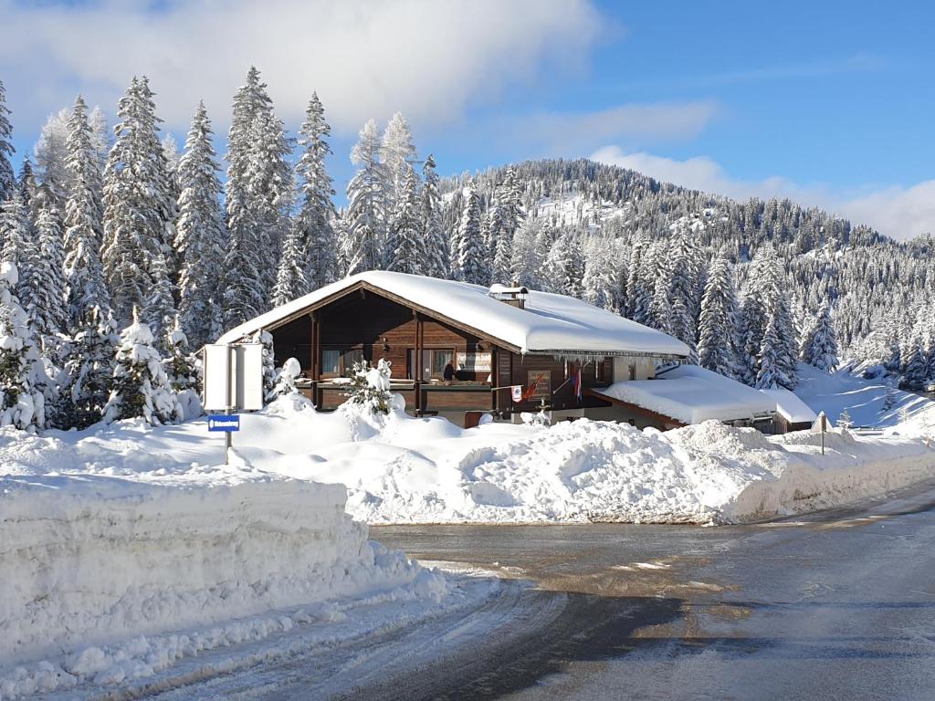 Ferienhaus Schäfer - Apartments - Wintersports - Family holiday - Holiday with your dog - Rural & Scenic - 2