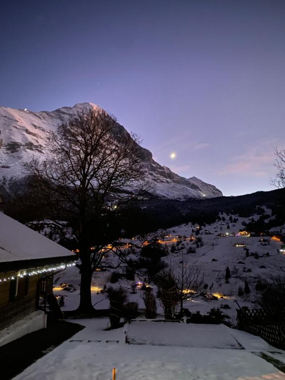 Chalet Herrschaft - 3