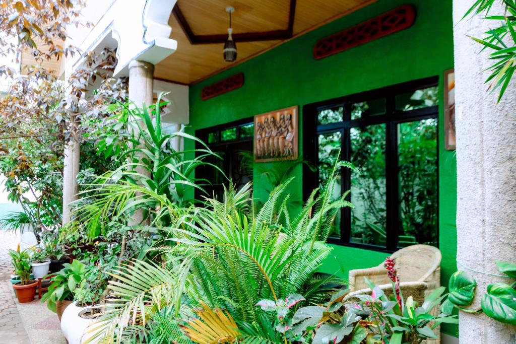 Hide Flowers, Ruhengeri