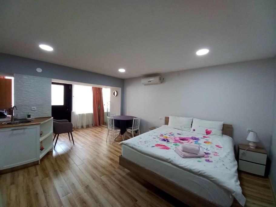 Cozy Studio Apartment on Rustaveli, Tbilisi