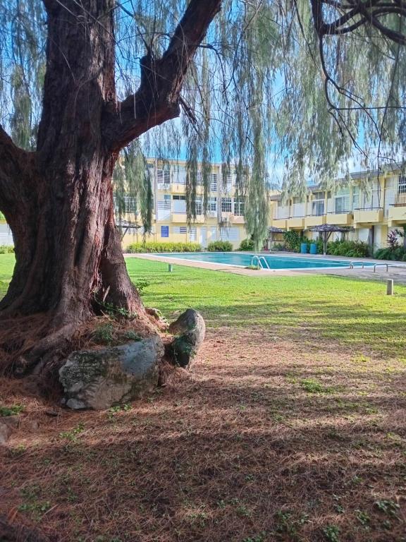 The Golden Triangle with pool, Liguanea