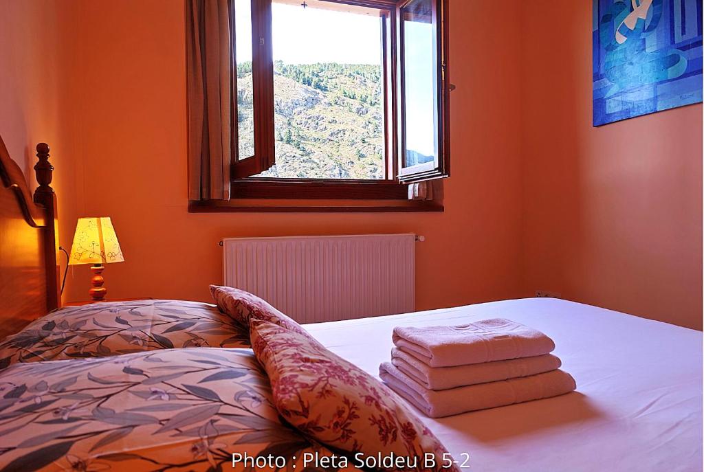 AC Apartaments Pleta Soldeu - 5
