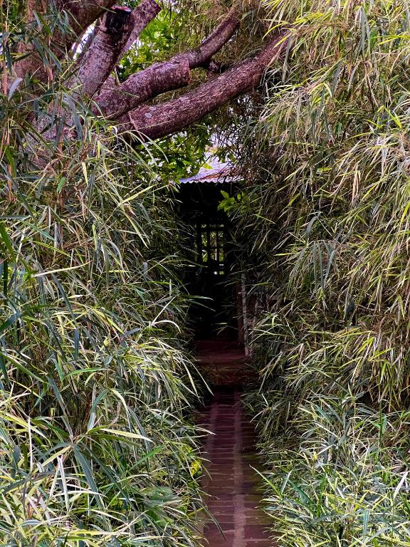 Inambú, casa de Huéspedes - 5