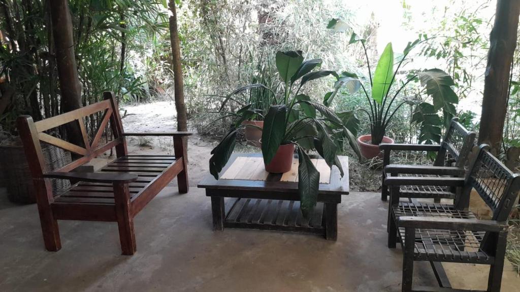 Inambú, casa de Huéspedes - 4