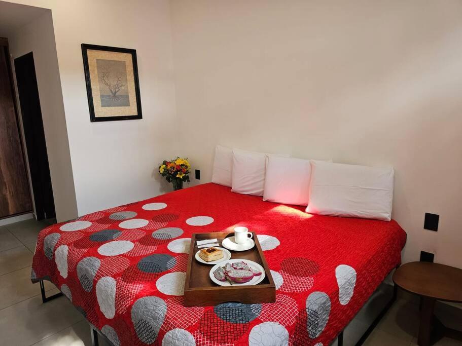 Céntrico Estudio Con Roof Top Zona Romántica 502 - 2