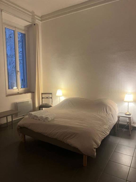 Spacieux appartement T4 avec cours privée - 3