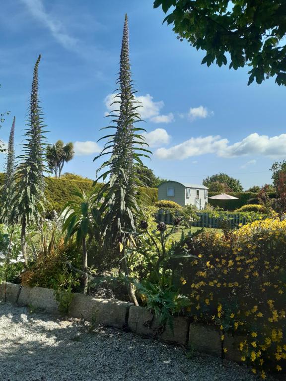 The Shepherd Hut, Carleen