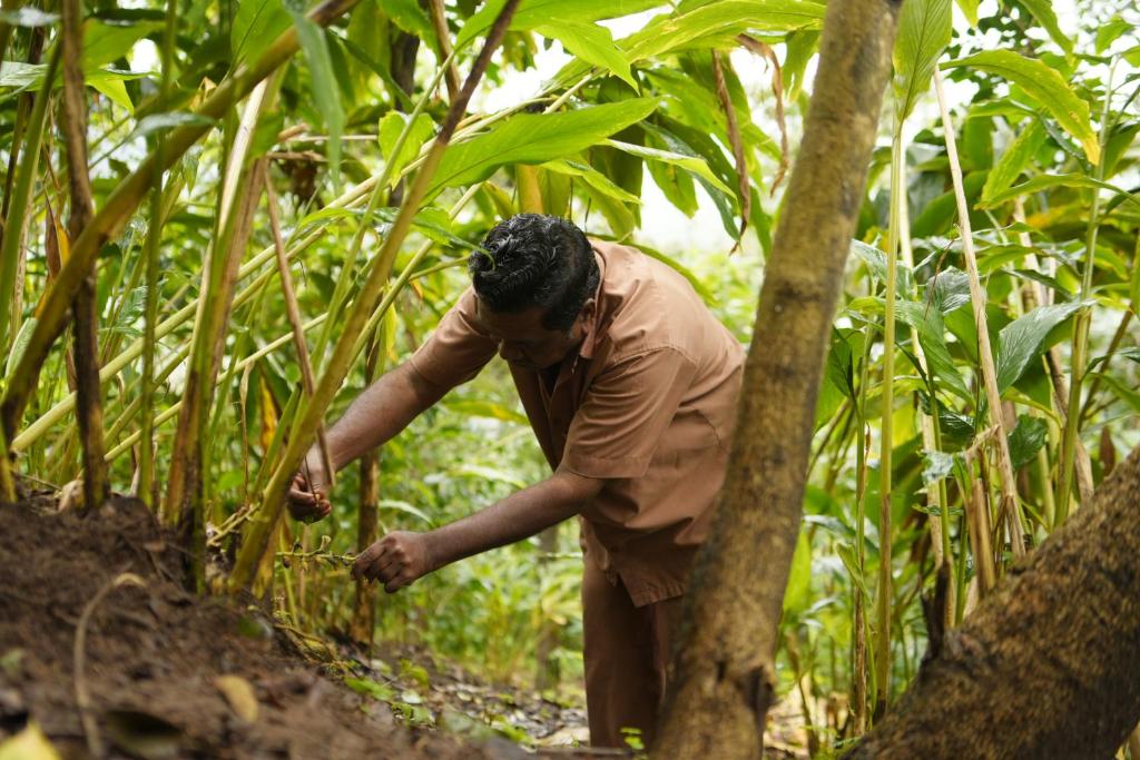 アクティビティ