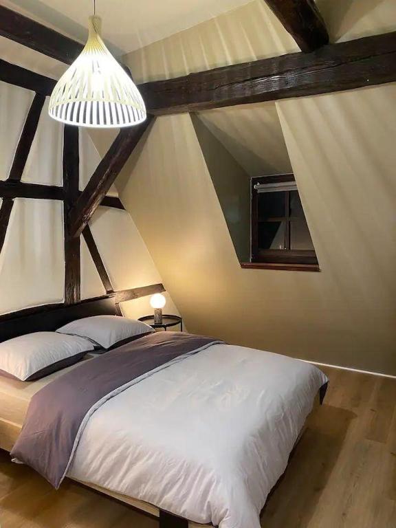 À la petite Venise hyper centre Colmar - 3