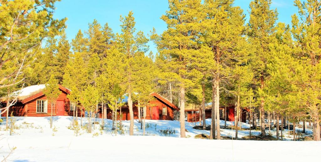 Sjodalen Hyttetun og Camping photo