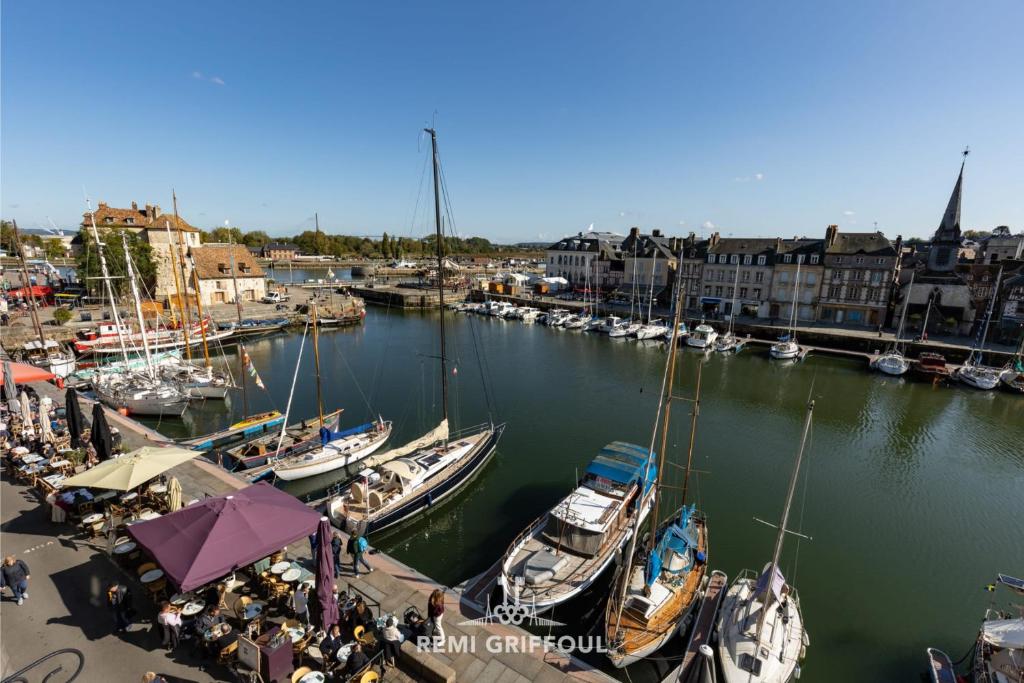 Dolphin view - 1st floor - Charming comfortable flat on the port - 2