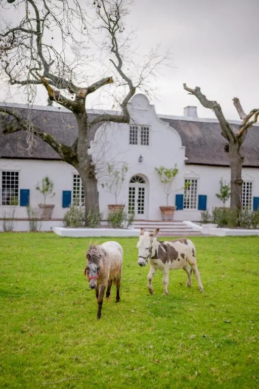 San Gabriel Homestead, hotel in Somerset West