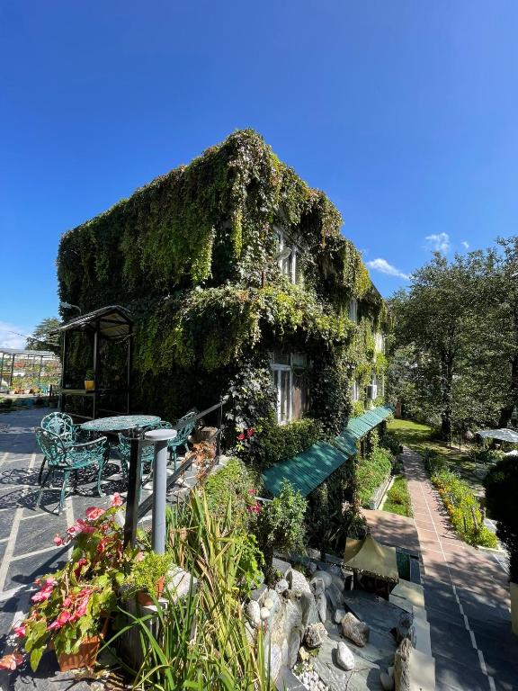 Alps Resort Dalhousie 객실