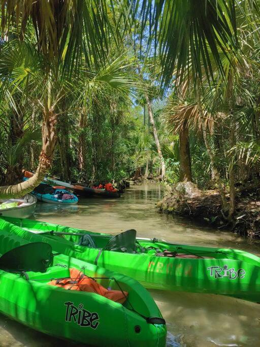 ChassRiverVibes, Homosassa