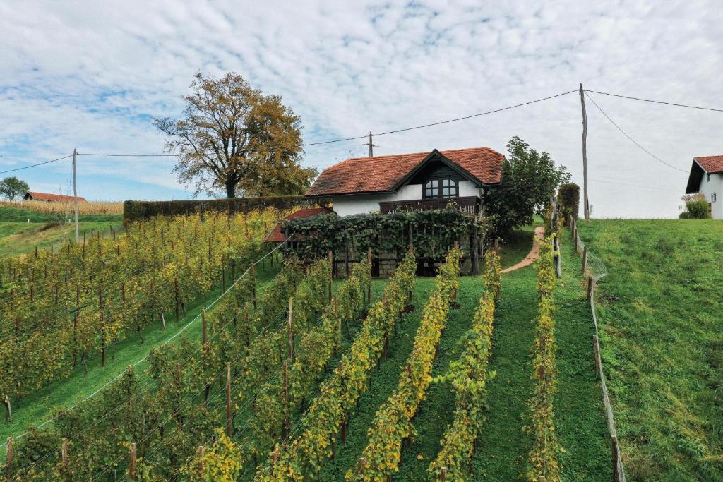 Hiška Brajda, Rogaška Slatina